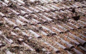 Galmpton roof cleaning companies