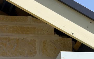 soffit repair Galmpton